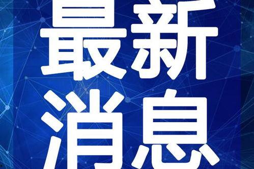 广州护林路爆料视频最新,揭秘护林路神秘事件真相